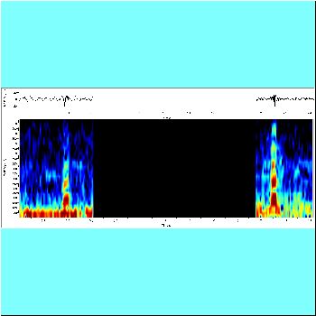 Serrasalmus eigenmanni cf in pool_spectrogram.png